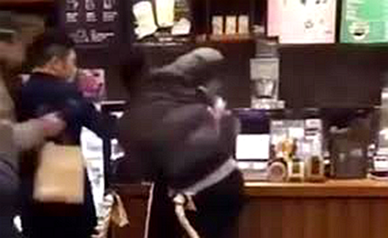 貓爪杯 打架 Starbucks 櫻花杯