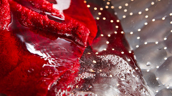 洗衣機推薦 Miele大眼雞洗衣機