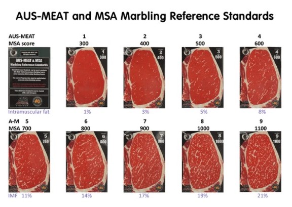 澳洲和牛介紹 分級