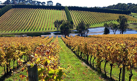 移民墨爾本 Redhill