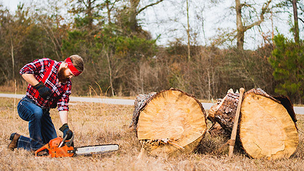 澳洲缺人職業 伐木工人