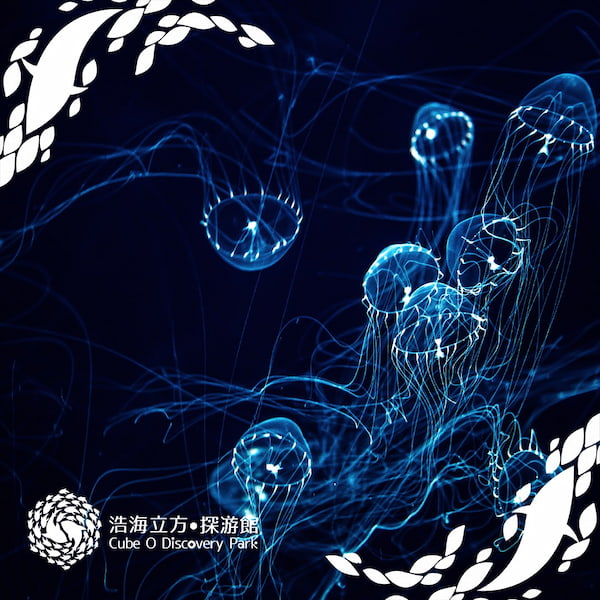 海洋探索體驗館水母研究所