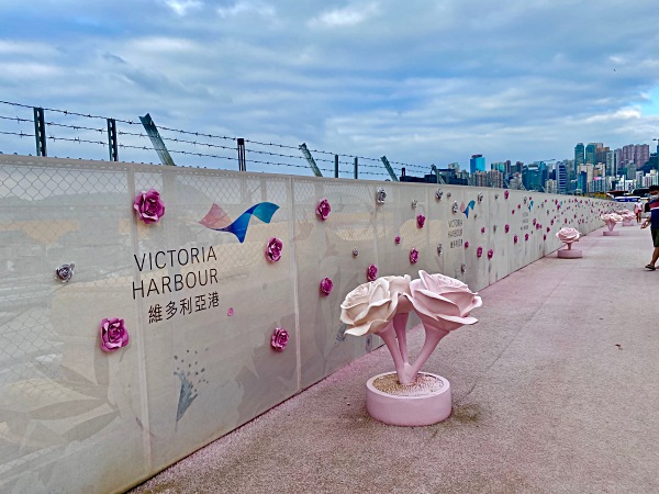 灣仔海濱長廊粉紅