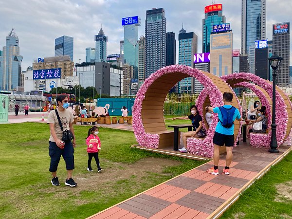 灣仔海濱長廊粉紅色草地