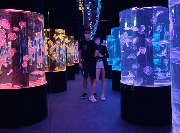 荃灣海洋探索館