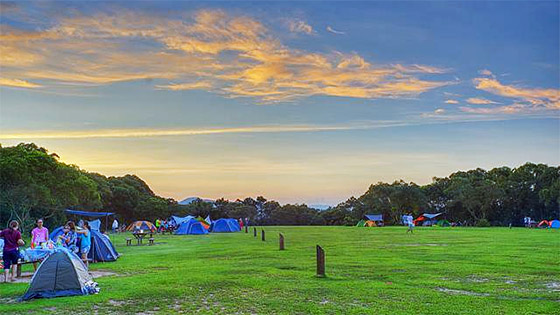 郊遊好去處 放風箏