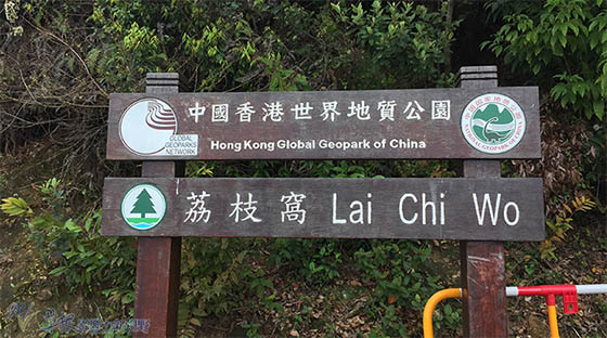 郊遊好去處-荔枝窩