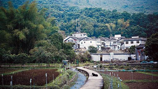 隱世郊遊荔枝窩