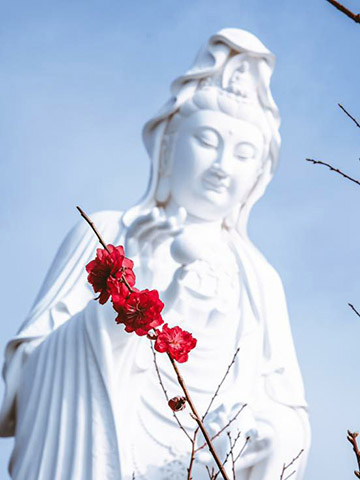 慈山寺桃花 預約