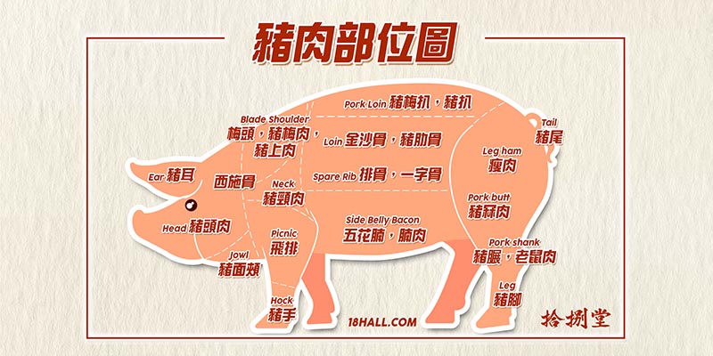 豬肉部位圖