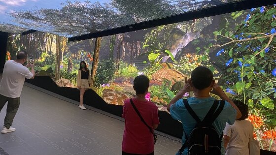 山頂纜車 打卡地點