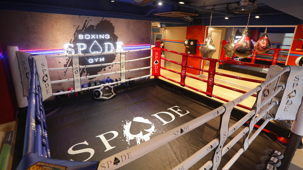 拳擊 Spade Boxing